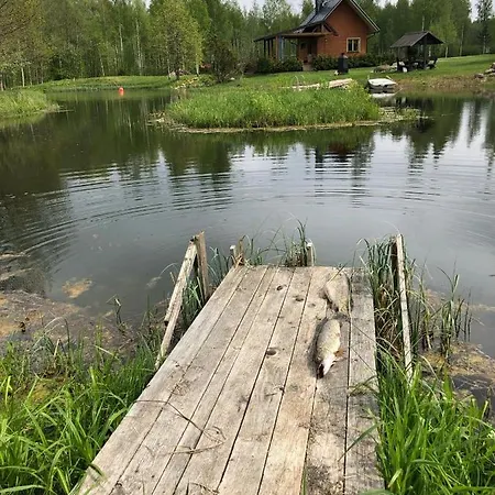 Uueparu